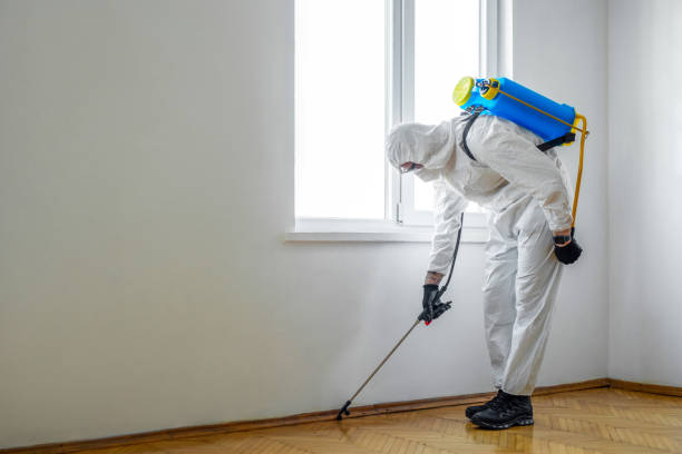 Best Commercial Pest Control Services  in Cambridge, MD