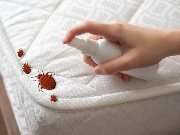 Best Local Pest Control Services  in Cambridge, MD